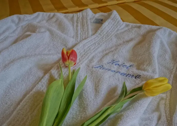 酒店 Panorama 卡普伦